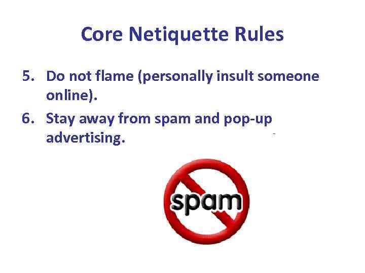 Core Netiquette Rules 5. Do not flame (personally insult someone online). 6. Stay away