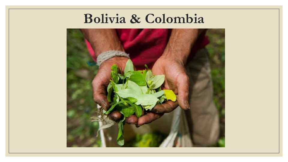 Bolivia & Colombia 