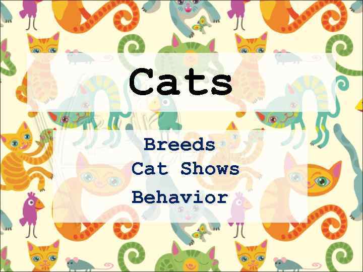 Cats Breeds Cat Shows Behavior 