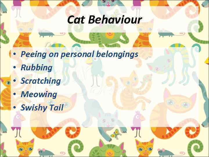 Cat Behaviour • • • Peeing on personal belongings Rubbing Scratching Meowing Swishy Tail