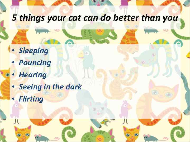 5 things your cat can do better than you • • • Sleeping Pouncing