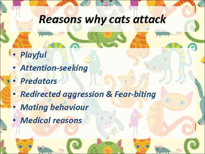 Reasons why cats attack • • • Playful Attention-seeking Predators Redirected aggression & Fear-biting