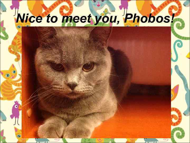 Nice to meet you, Phobos! 