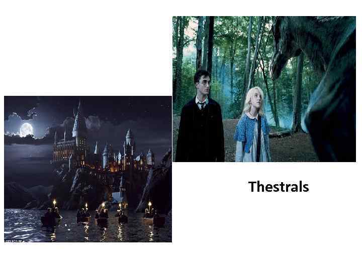 Thestrals 