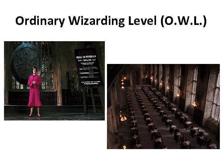 Ordinary Wizarding Level (O. W. L. ) 