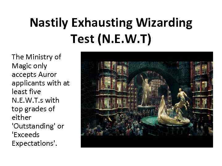 Nastily Exhausting Wizarding Test (N. E. W. T) The Ministry of Magic only accepts