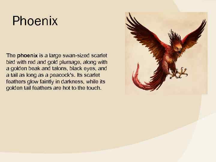 Phoenix The phoenix is a large swan-sized scarlet bird with red and gold plumage,