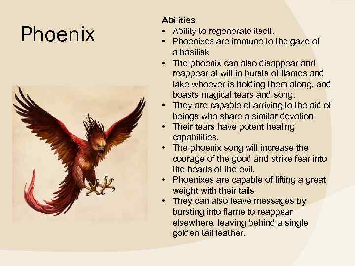 Phoenix Abilities • Ability to regenerate itself. • Phoenixes are immune to the gaze
