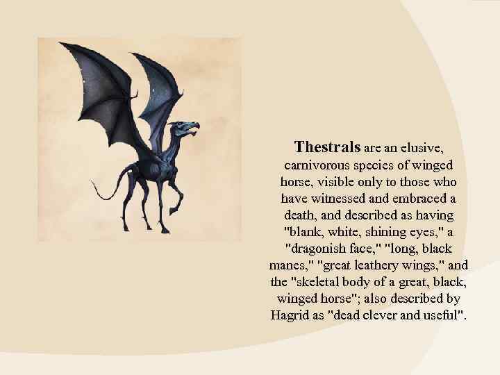 Thestrals are an elusive, carnivorous species of winged horse, visible only to those who