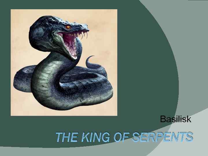 Basilisk THE KING OF SERPENTS 
