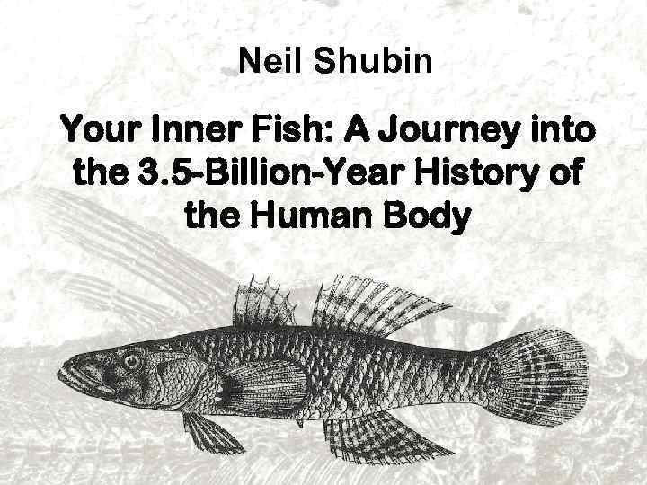 Neil Shubin Your Inner Fish: A Journey into the 3. 5 -Billion-Year History of