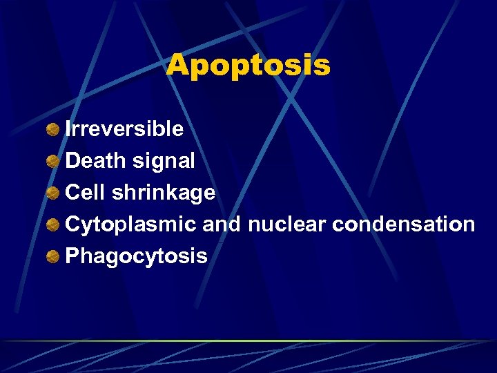 Apoptosis Irreversible Death signal Cell shrinkage Cytoplasmic and nuclear condensation Phagocytosis 