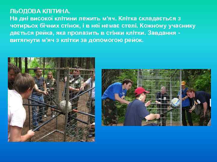 ЛЬОДОВА КЛІТИНА. На дні високої клітини лежить м'яч. Клітка складається з чотирьох бічних стінок,