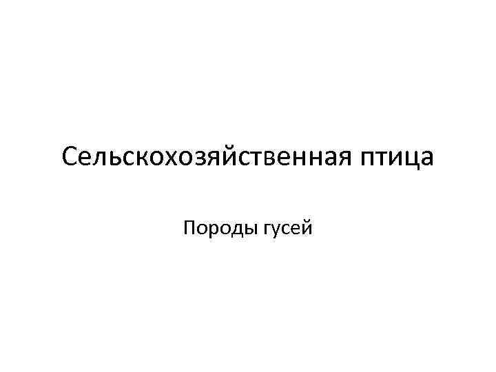 Сельскохозяйственная птица Породы гусей 