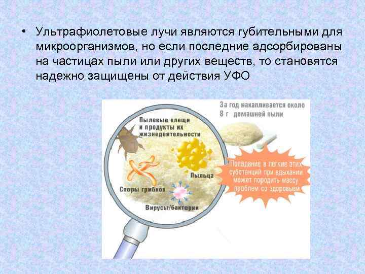 Опыт бухнера микробиология рисунок