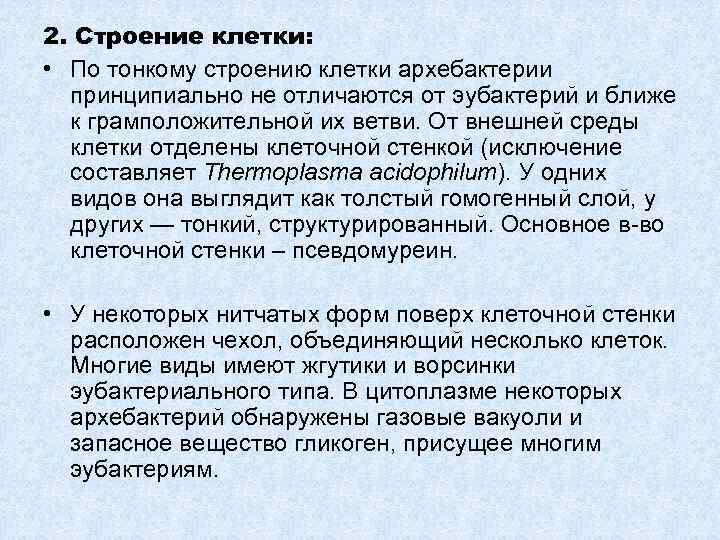 2. Строение клетки: • По тонкому строению клетки архебактерии принципиально не отличаются от эубактерий