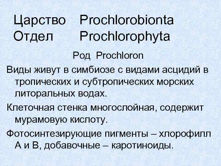 Царство Отдел Prochlorobionta Prochlorophyta Род Prochloron Виды живут в симбиозе с видами асцидий в