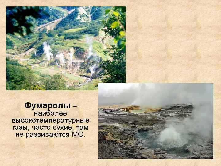 Фумаролы – наиболее высокотемпературные газы, часто сухие, там не развиваются МО. 