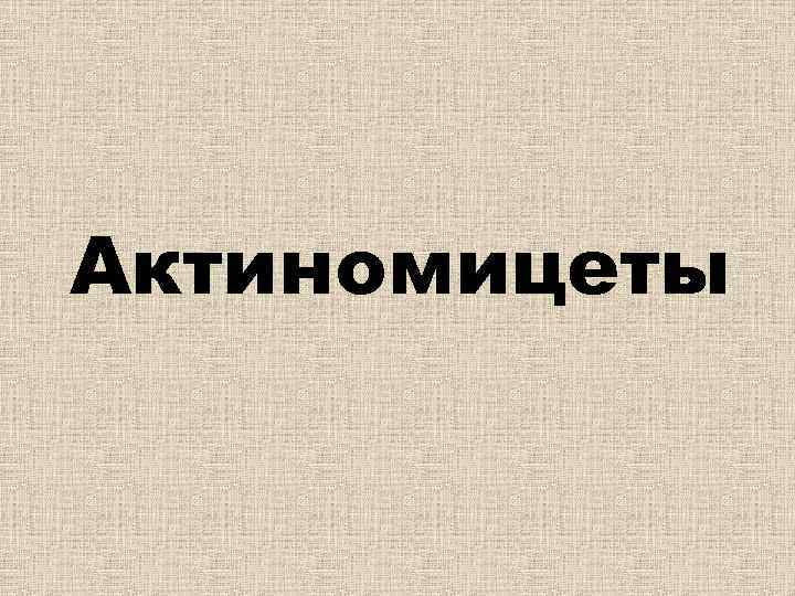 Актиномицеты 