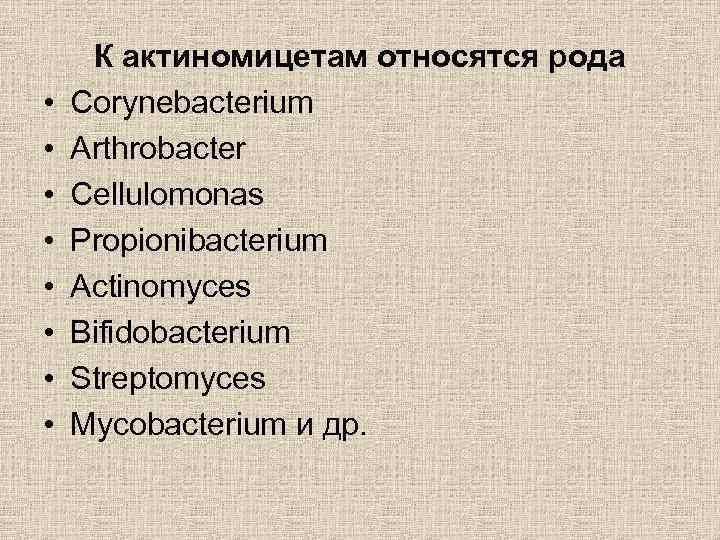  • • К актиномицетам относятся рода Corynebacterium Arthrobacter Cellulomonas Propionibacterium Actinomyces Bifidobacterium Streptomyces