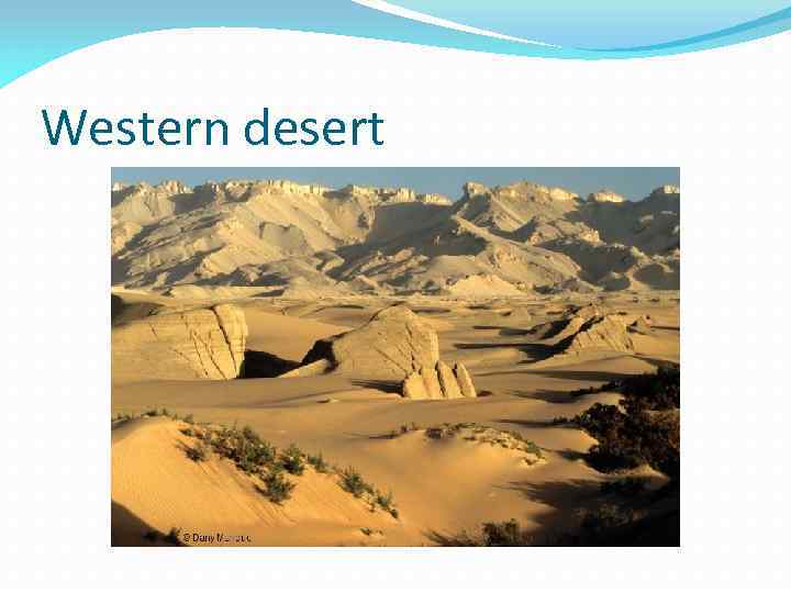 Western desert 