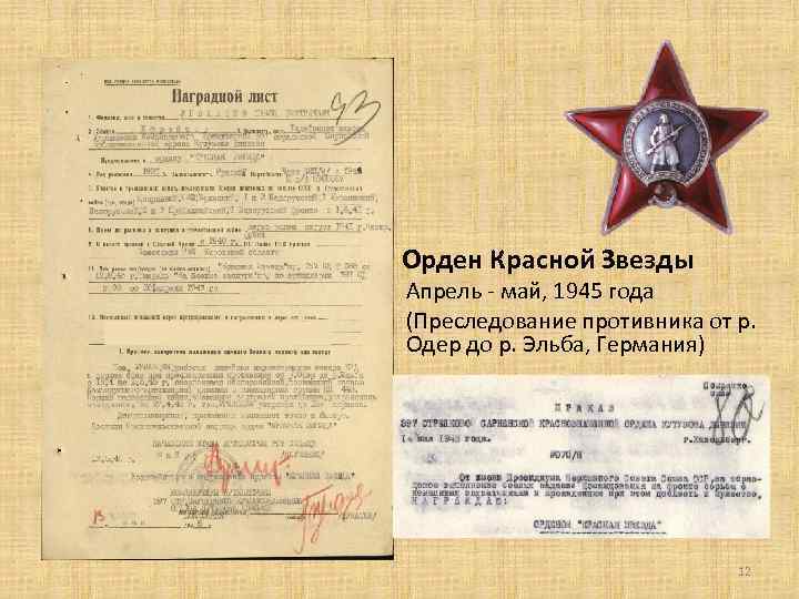 Орден Красной Звезды Апрель - май, 1945 года (Преследование противника от р. Одер до