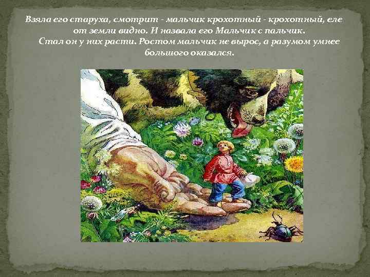 Взяла его старуха, смотрит - мальчик крохотный - крохотный, еле от земли видно. И