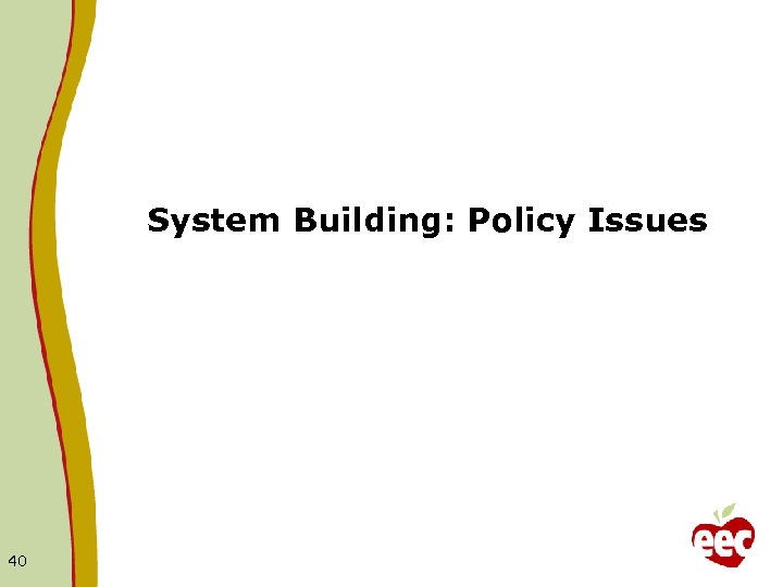 System Building: Policy Issues 40 