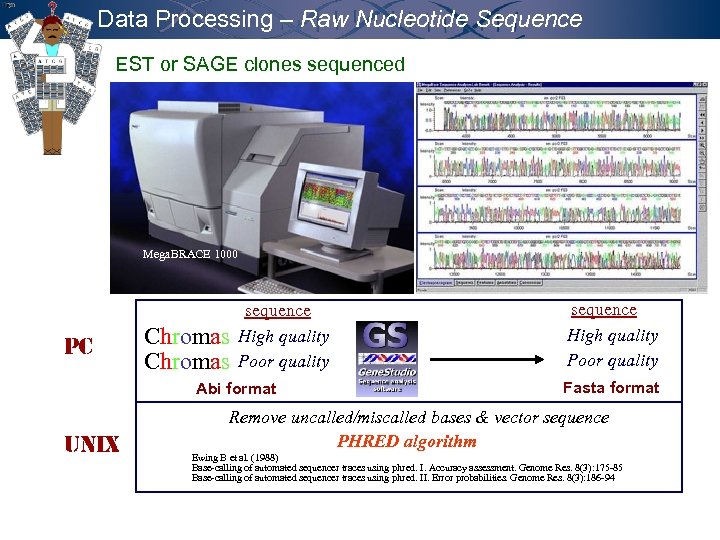 Data Processing – Raw Nucleotide Sequence EST or SAGE clones sequenced Mega. BRACE 1000