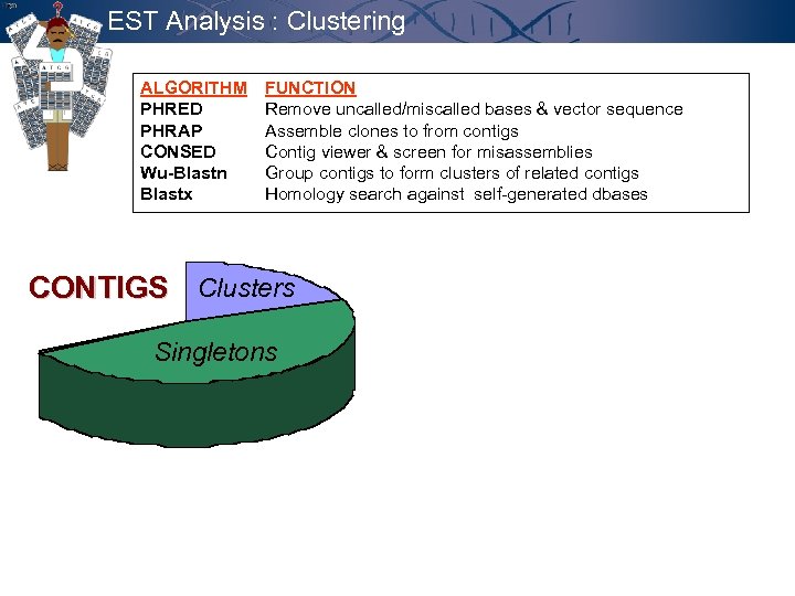 EST Analysis : Clustering ALGORITHM FUNCTION PHRED Remove uncalled/miscalled bases & vector sequence PHRAP