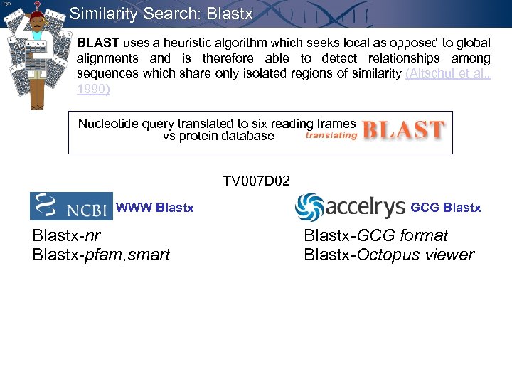 Similarity Search: Blastx BLAST uses a heuristic algorithm which seeks local as opposed to