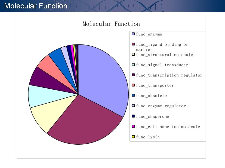 Molecular Function 