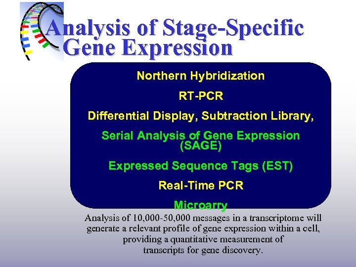 Analysis of Stage-Specific Gene Expression Northern Hybridization RT-PCR Differential Display, Subtraction Library, Serial Analysis