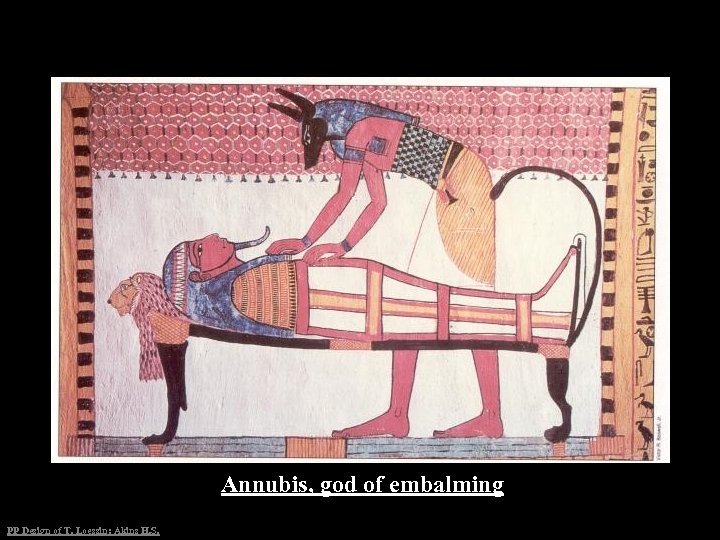 Annubis, god of embalming PP Design of T. Loessin; Akins H. S. 