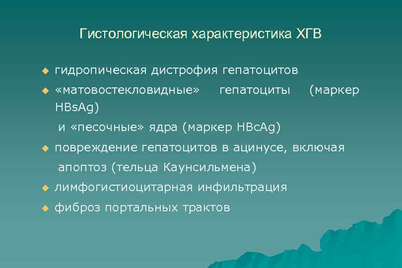 Гистологическая характеристика ХГВ u гидропическая дистрофия гепатоцитов u «матовостекловидные» HBs. Ag) гепатоциты (маркер и