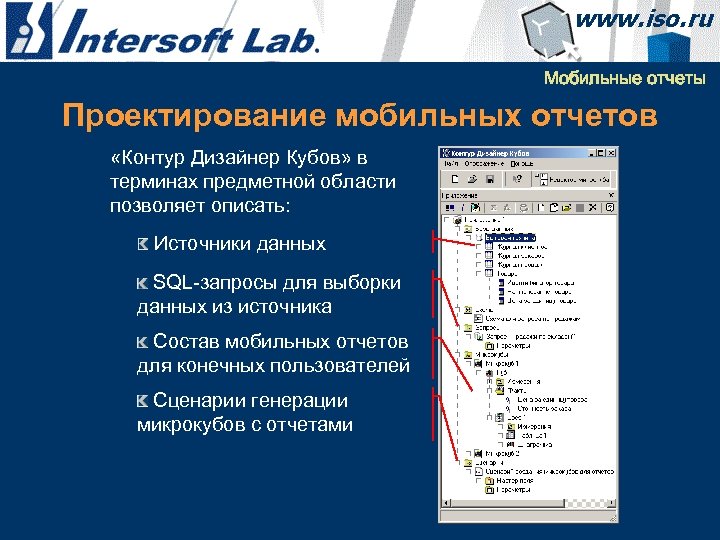 Мобильные отчеты Проектирование мобильных отчетов «Контур Дизайнер Кубов» в терминах предметной области позволяет описать: