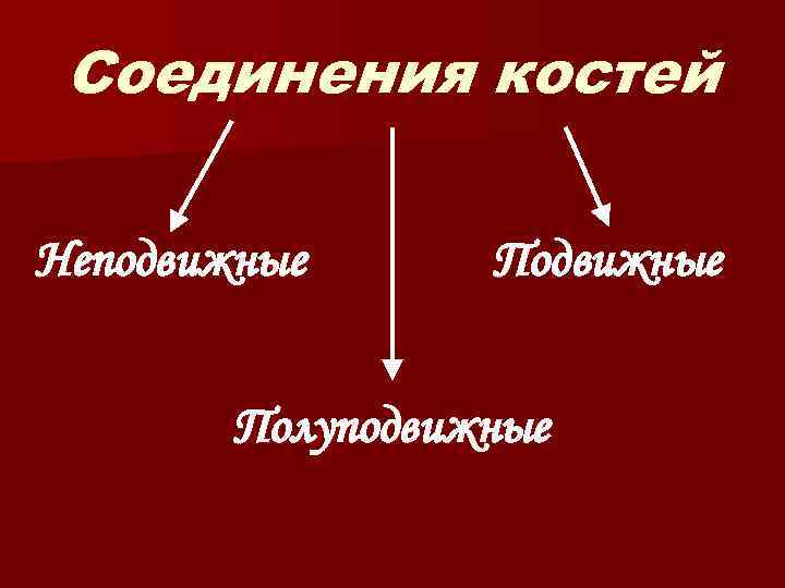 Соединения костей Неподвижные Полуподвижные 