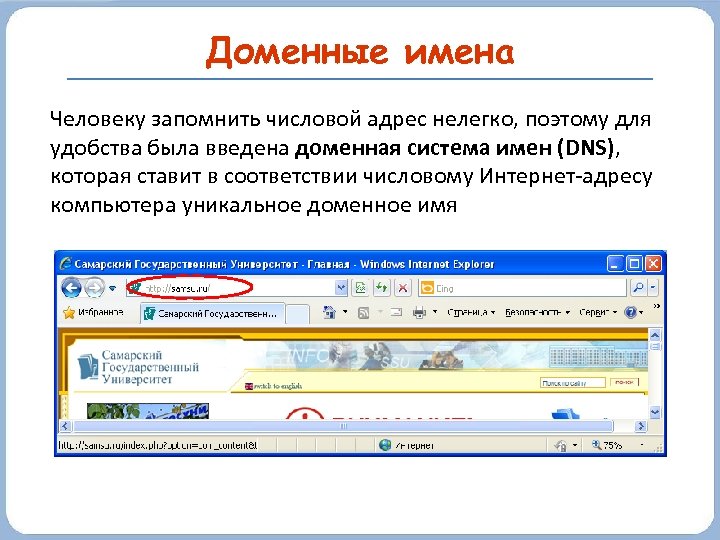 Доменные имена Человеку запомнить числовой адрес нелегко, поэтому для удобства была введена доменная система