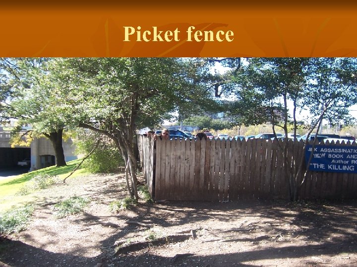 Picket fence 