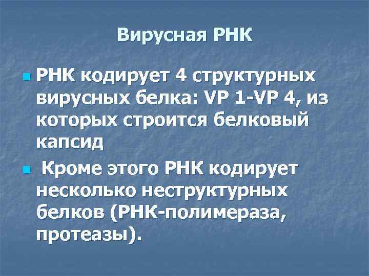 Вирусная РНК кодирует 4 структурных вирусных белка: VР 1 -VP 4, из которых строится