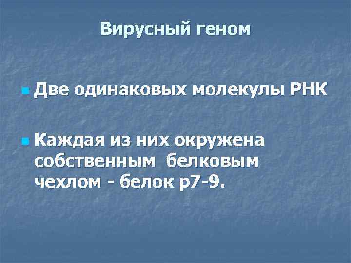 Вирусный геном n n Две одинаковых молекулы РНК Каждая из них окружена собственным белковым
