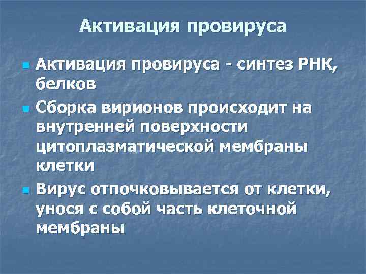 Активация провируса n n n Активация провируса - синтез РНК, белков Сборка вирионов происходит