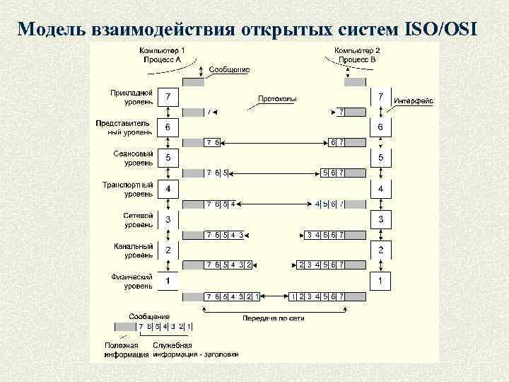 Модель взаимодействия открытых систем ISO/OSI 