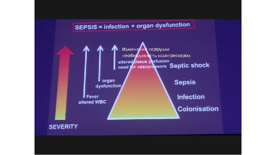 Изменение перфузии необходимость вазопрессоров 
