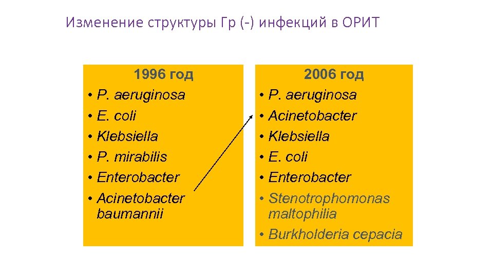 Изменение структуры Гр (-) инфекций в ОРИТ 1996 год • P. aeruginosa • E.