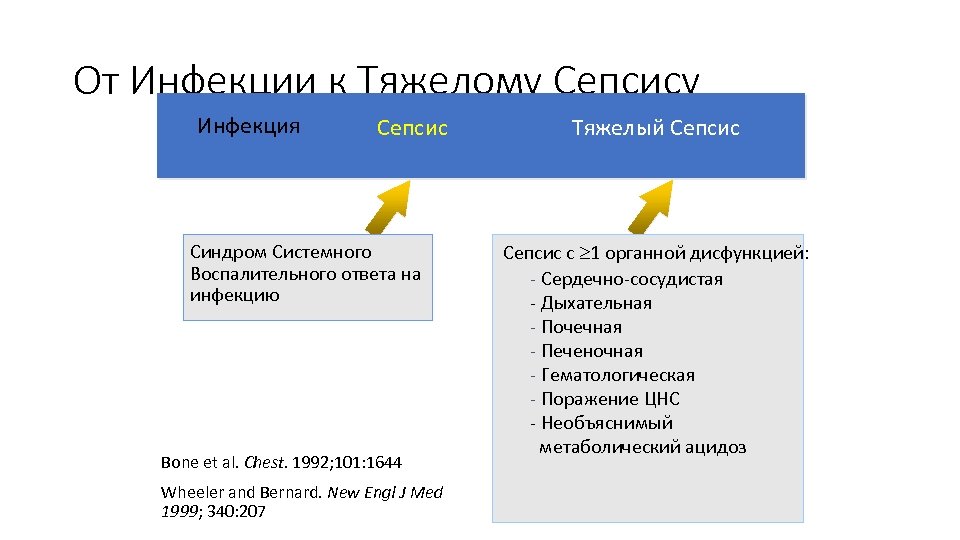 От Инфекции к Тяжелому Сепсису Инфекция Сепсис Синдром Системного Воспалительного ответа на инфекцию Bone
