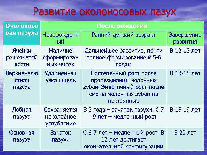 Развитие околоносовых пазух Околоносо вая пазуха Новорожденн ый После рождения Ранний детский возраст Завершение