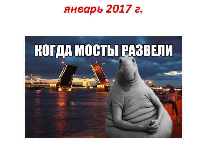 январь 2017 г. 