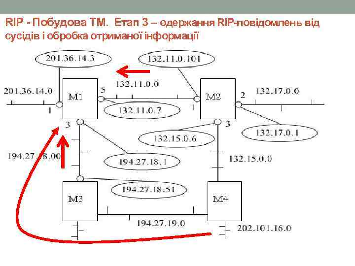 RIP - Побудова ТМ. Етап 3 – одержання RIP-повідомлень від сусідів і обробка отриманої