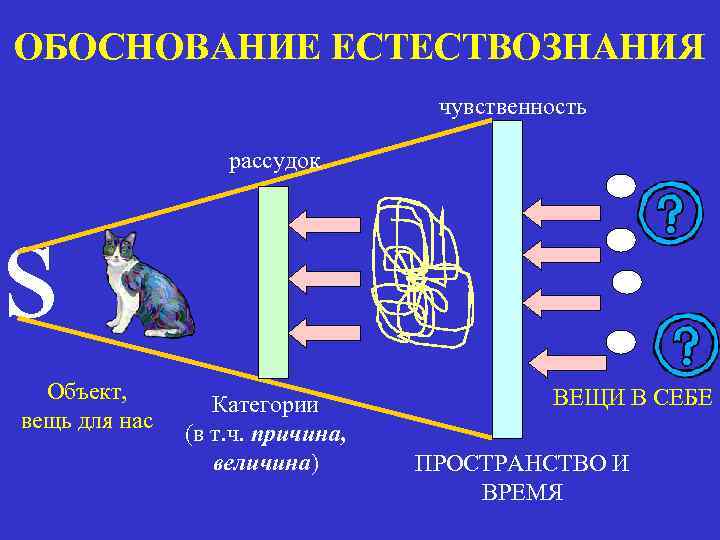 Кант вещей в себе. Вещь в себе пример. Вещь для нас. Вещь в себе и вещь для себя. Рассудок и вещи в себе.